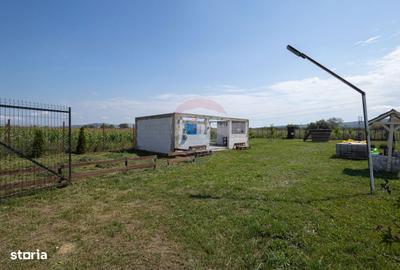 Teren de 3700 mp, în Sântimbru - 6