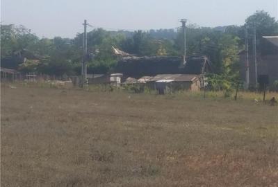 Teren de 3000 mp, în Murighiol - 8
