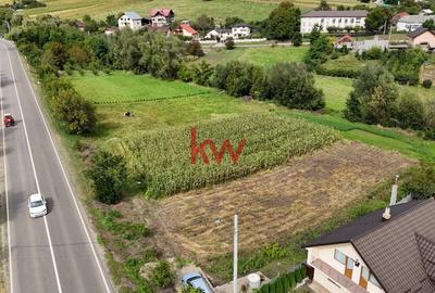 Teren Intravilan de 2451 MP - Bunesti, Suceava - 6