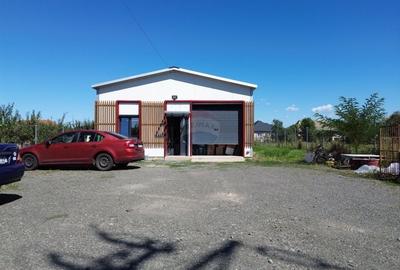 De vanzare Hala 160 m2 in localitatea Lapusel, comuna Recea, Maramures - 1