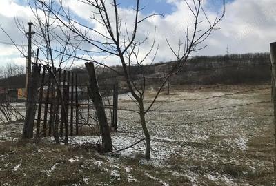 Teren de 4209 mp, în Strâmtura-Mitoc - 2