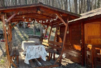 Teren de 1050 mp, în Păușești - 4