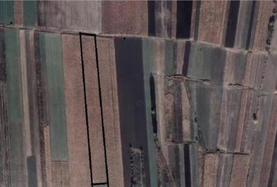 Teren Construcții intravilan de 18620 mp, în Exterior Est - 3