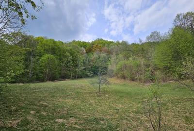 Teren superb, intravilan - la marginea padurii ! - 7