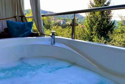 Luxury Boutique Villa & Exclusive Penthouse Cioplea, Predeal, Brasov - 4