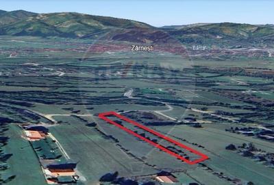 Teren 4,223mp Zarnesti - Tohanita - 27