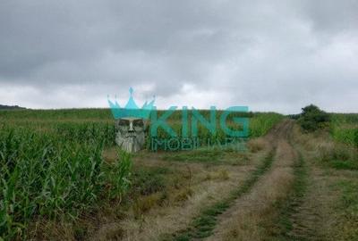 Teren agricol extravilan de 5800 mp, în Moișa