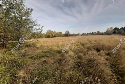 Teren intravilan de vanzare in Avrig zona Valea Avrigului - 4