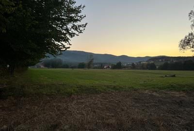 Teren Construcții intravilan de 2000 mp, în Sadu - 9