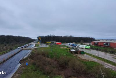 Teren de 10000 mp, în Găneasa - 12