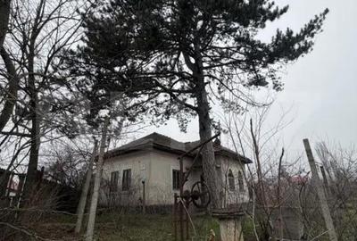Casă cu 3 camere cu Teren 2714 Mp în Central - 6