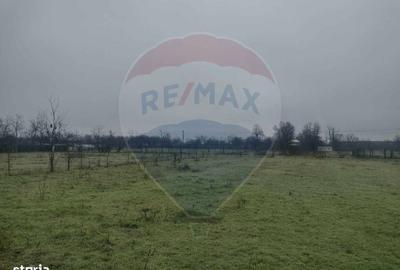 Spațiu comercial, în Cocora - 10