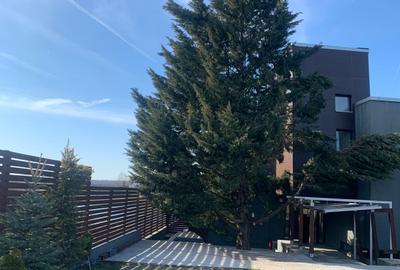 Casă individuală cu 10 camere cu Canalizare în Snagov - 8