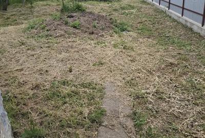 Casă cu 3 camere în Corni - 3