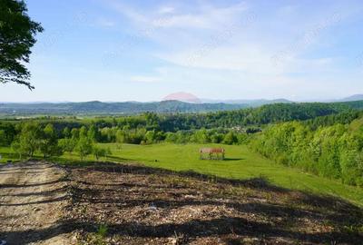 Teren 15,000mp Sighetu Marmatiei / Strada Mocani?ei - 3