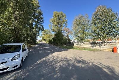 Hala  700 mp - teren 3998 mp - Nufarul - 10