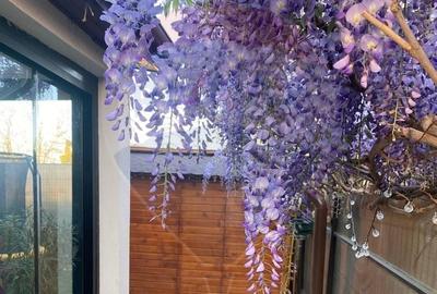 Casă / Vilă de vanzare in Otopeni, ansamblu rezidential, langa centru - 18