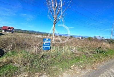 Teren intravilan strada Narciselor - 2