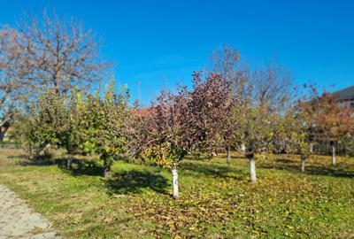 VILA ,CASA DE VANZARE - 35