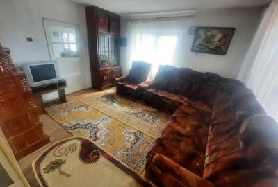 Proprietar vand casa Hemeius - 4