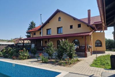 Proprietate deosebita, ocazie de investitie, Cosula, Botosani - 6
