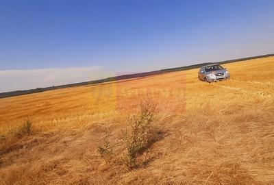Teren pentru casa/case in Branesti pe strada Toporasi - 5