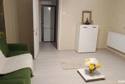Apartament cu 2 camere semidecomandat în Craiovei - 1
