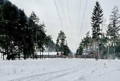 Teren intravilan - Sacele - Brasov - 12