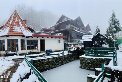 Casă cu 4 camere în Peștișani - 6