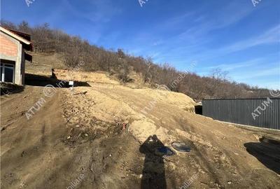 Teren intravilan de 1641 mp cu PUZ aprobat si utilitati in Cisnadioara - 9