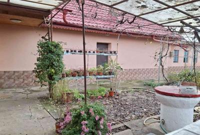 Casă individuală cu 2 camere cu Teren 1215 Mp în Movilița - 5