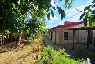 Casă individuală cu 3 camere cu Teren 1014 Mp în Sud-Vest - 21