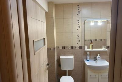 Drumul Ghindari, Prelungirea Ghencea, garsoniera 48 mp - 5