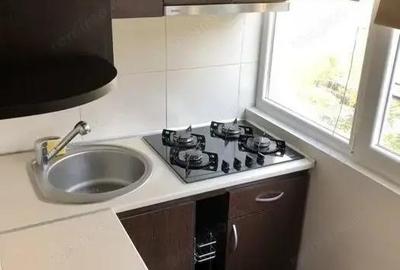 Apartament o camera Buziasului - 3