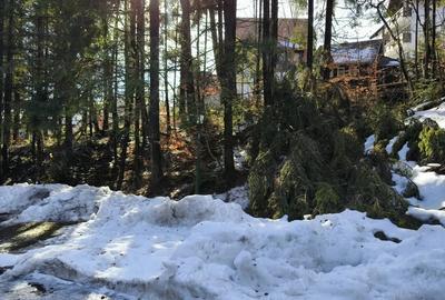 Teren de 835 mp, în Furnica - 2