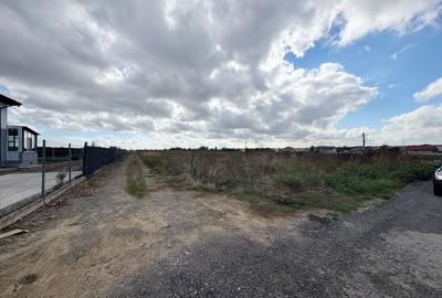 Teren Construcții intravilan de 3334 mp, în Valu lui Traian - 8