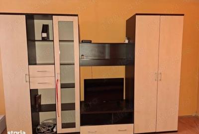 Garsonieră în Medicină - 4