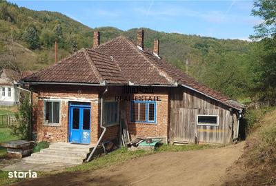 Casă cu 4 camere cu Teren 9563 Mp în Ribița - 5