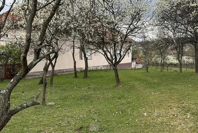 Spațiu comercial, în Boș - 2