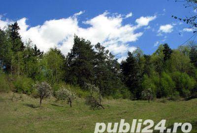 Teren de 500 mp, în Săbăreni - 2