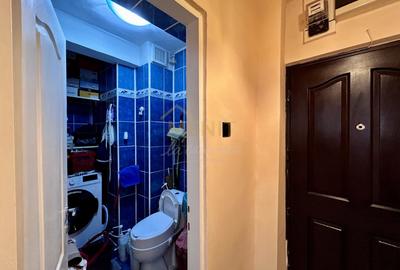 Apartament cu 3 camere semidecomandat, mobilat în B-dul București - 16
