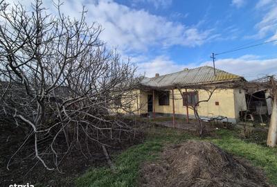 Casă cu 3 camere cu Teren 750 Mp în Central - 1