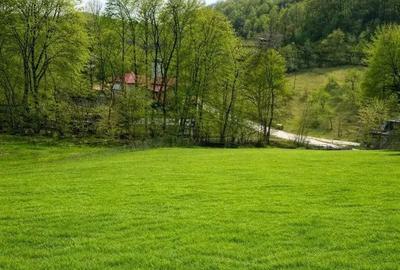 Teren de 1688 mp, în Vișinești - 2