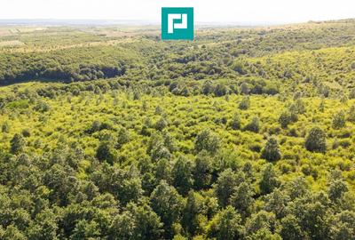 Teren agricol extravilan de 22900 mp, în Exterior Sud - 6