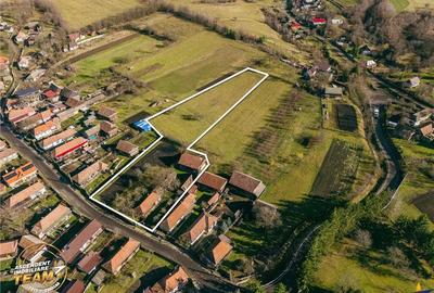 FILM! Casa si anexe, pe domeniu de 6.221mp, livada pomi fructiferi, Lemnia, Covasna - 12