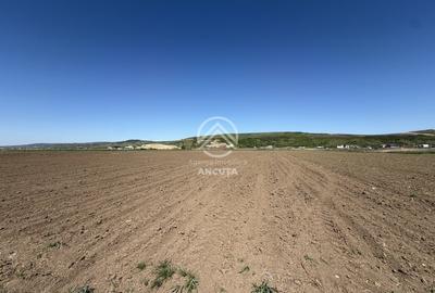 Teren extravilan de 2900 mp, în Sânnicoară - 2