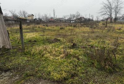 Spațiu comercial, în Alexandriei