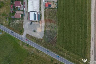 Teren de 790 mp, în Baciu - 10