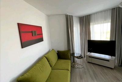 Apartament cu 2 camere, mobilat în Bună Ziua - 6