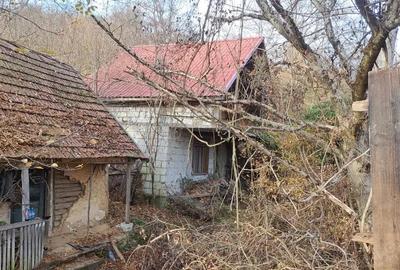 Casă cu 4 camere cu Teren 526 Mp în Odvoș - 6